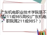 广东机电职业技术学院是不是211或985高校(广东机电职院属211或985？)