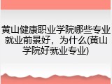 黄山健康职业学院哪些专业就业前景好，为什么(黄山学院好就业专业)