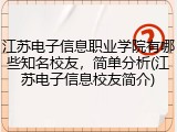 江苏电子信息职业学院有哪些知名校友，简单分析(江苏电子信息校友简介)