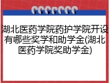 湖北医药学院药护学院开设有哪些奖学和助学金(湖北医药学院奖助学金)