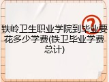 铁岭卫生职业学院到毕业要花多少学费(铁卫毕业学费总计)