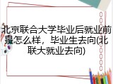 北京联合大学毕业后就业前景怎么样，毕业生去向(北联大就业去向)