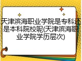 天津滨海职业学院是专科还是本科院校呢(天津滨海职业学院学历层次)
