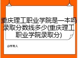 重庆理工职业学院是一本吗录取分数线多少(重庆理工职业学院录取分)