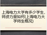 上海电力大学有多少学生，师资力量如何(上海电力大学师生概况)