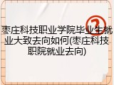 枣庄科技职业学院毕业生就业大致去向如何(枣庄科技职院就业去向)