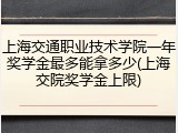 上海交通职业技术学院一年奖学金最多能拿多少(上海交院奖学金上限)