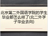 北京第二外国语学院的学生毕业都怎么样了(北二外学子毕业去向)