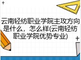 云南轻纺职业学院主攻方向是什么，怎么样(云南轻纺职业学院优势专业)