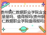 贵州铜仁数据职业学院含金量量吗，值得报吗(贵州铜仁数据职业学院值得报吗)