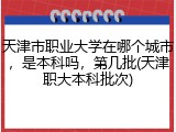 天津市职业大学在哪个城市，是本科吗，第几批(天津职大本科批次)