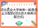 河北农业大学宿舍一般是怎么分配的(河北农大宿舍分配方式)