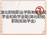 湖北财税职业学院有哪些奖学金和助学金呢(湖北财税职院奖助学金)