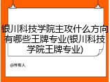 银川科技学院主攻什么方向有哪些王牌专业(银川科技学院王牌专业)