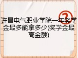许昌电气职业学院一年奖学金最多能拿多少(奖学金最高金额)