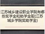 江苏城乡建设职业学院有哪些奖学金和助学金呢(江苏城乡学院奖助学金)
