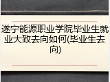 遂宁能源职业学院毕业生就业大致去向如何(毕业生去向)