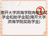 南开大学滨海学院有哪些奖学金和助学金呢(南开大学滨海学院奖助学金)