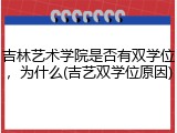 吉林艺术学院是否有双学位，为什么(吉艺双学位原因)