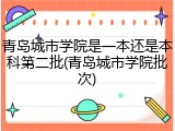 青岛城市学院是一本还是本科第二批(青岛城市学院批次)