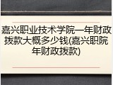 嘉兴职业技术学院一年财政拨款大概多少钱(嘉兴职院年财政拨款)