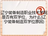 辽宁装备制造职业技术学院是否有双学位，为什么(辽宁装备制造双学位原因)