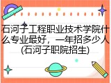 石河子工程职业技术学院什么专业最好，一年招多少人(石河子职院招生)