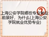 上海公安学院哪些专业就业前景好，为什么(上海公安学院就业优势专业)