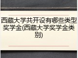 西藏大学共开设有哪些类型奖学金(西藏大学奖学金类别)