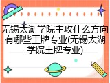 无锡太湖学院主攻什么方向有哪些王牌专业(无锡太湖学院王牌专业)