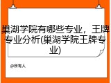 巢湖学院有哪些专业，王牌专业分析(巢湖学院王牌专业)
