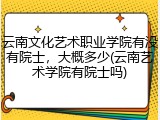 云南文化艺术职业学院有没有院士，大概多少(云南艺术学院有院士吗)