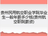 贵州民用航空职业学院毕业生一般年薪多少钱(贵州航空职院薪资)