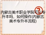 内蒙古美术职业学院可以专升本吗，如何操作(内蒙古美术专升本流程)