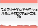 民政职业大学奖学金评定细则是怎样的(奖学金评定细则)