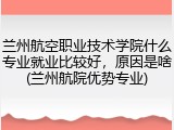 兰州航空职业技术学院什么专业就业比较好，原因是啥(兰州航院优势专业)