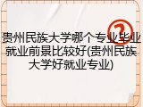 贵州民族大学哪个专业毕业就业前景比较好(贵州民族大学好就业专业)