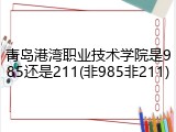 青岛港湾职业技术学院是985还是211(非985非211)