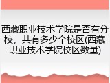 西藏职业技术学院是否有分校，共有多少个校区(西藏职业技术学院校区数量)
