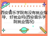 西安音乐学院有没有就业指导，好就业吗(西安音乐学院就业情况)