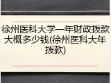 徐州医科大学一年财政拨款大概多少钱(徐州医科大年拨款)