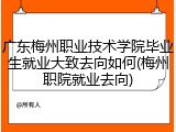 广东梅州职业技术学院毕业生就业大致去向如何(梅州职院就业去向)