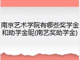 南京艺术学院有哪些奖学金和助学金呢(南艺奖助学金)