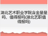 湖北艺术职业学院含金量量吗，值得报吗(湖北艺职值得报吗)
