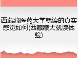 西藏藏医药大学就读的真实感觉如何(西藏藏大就读体验)