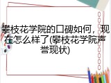 攀枝花学院的口碑如何，现在怎么样了(攀枝花学院声誉现状)