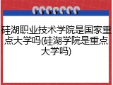 硅湖职业技术学院是国家重点大学吗(硅湖学院是重点大学吗)