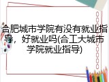 合肥城市学院有没有就业指导，好就业吗(合工大城市学院就业指导)