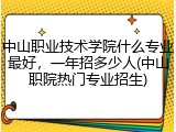 中山职业技术学院什么专业最好，一年招多少人(中山职院热门专业招生)