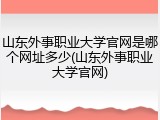 山东外事职业大学官网是哪个网址多少(山东外事职业大学官网)